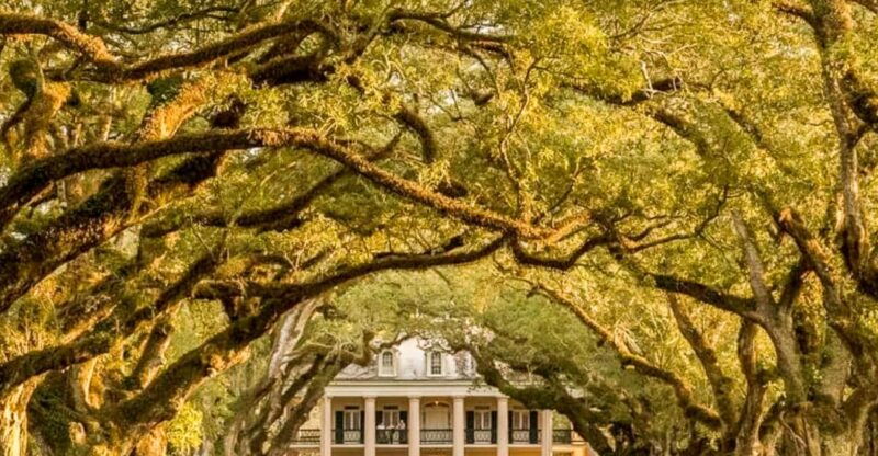 from-new-orleans-oak-alley-plantation-tour