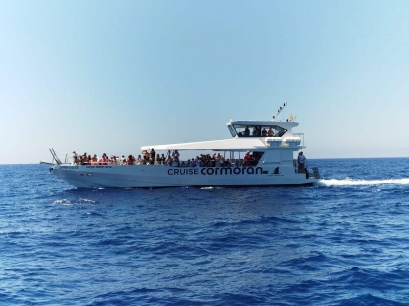 from-palma-afternoon-dolphin-watching-boat-tour