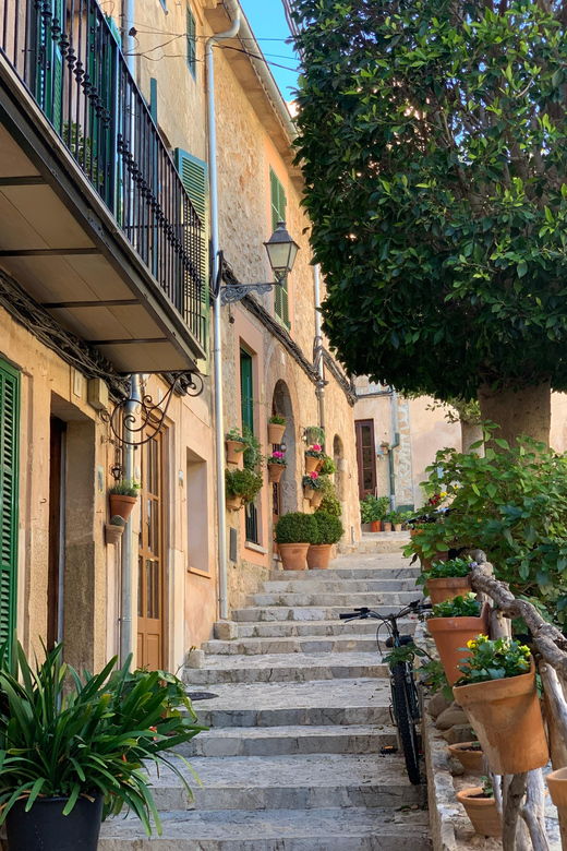 from-palma-valldemossa-tour-and-mountain-viewpoint-hike