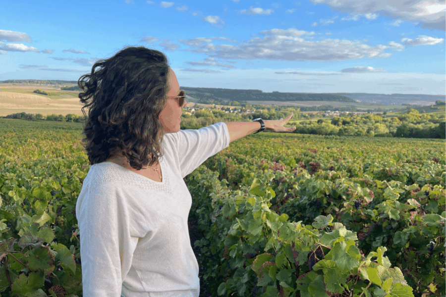 from-paris-wine-day-trip-to-sancerre-w-10-tastings-lunch