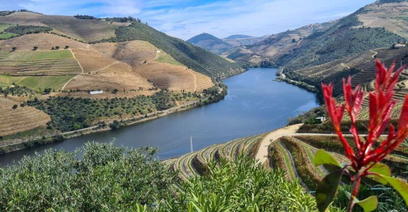 from-peso-da-regua-visit-3-wineries-tasting-and-viewpoint