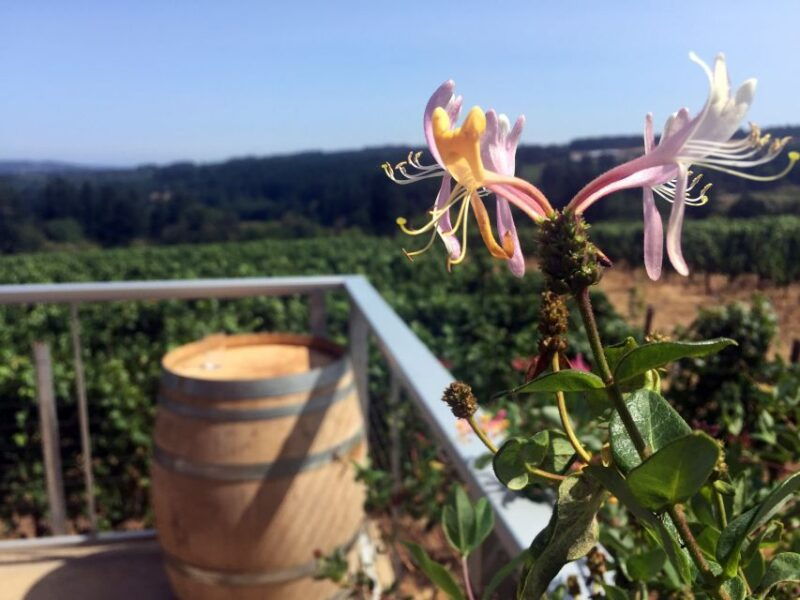 from-portland-willamette-valley-character-wineries