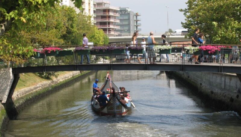 from-porto-private-sightseeing-tour-of-aveiro
