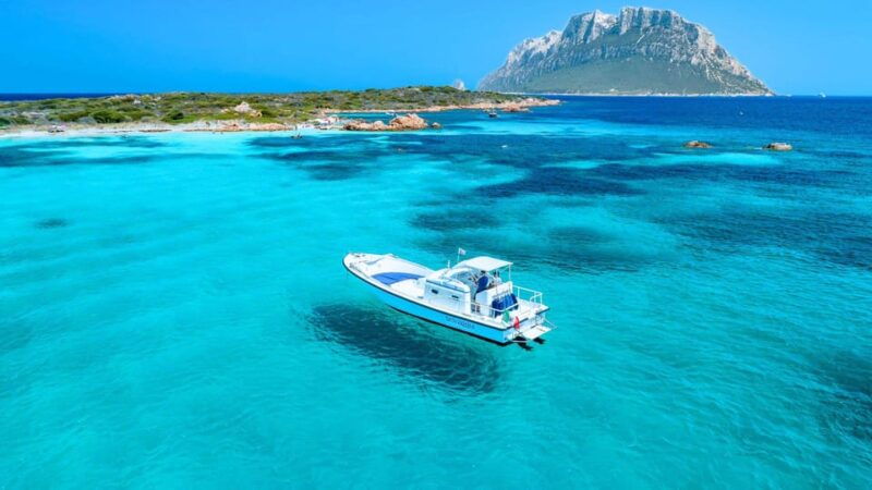from-porto-san-paolo-4-hour-boat-tour-to-tavolara