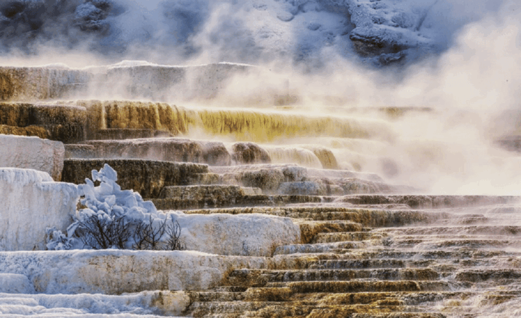 from-salt-lake-city-yellowstone-grand-teton-5-day-tour