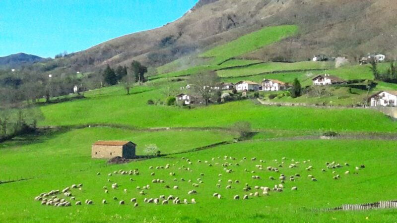 from-san-sebastian-french-basque-countryside-private-tour