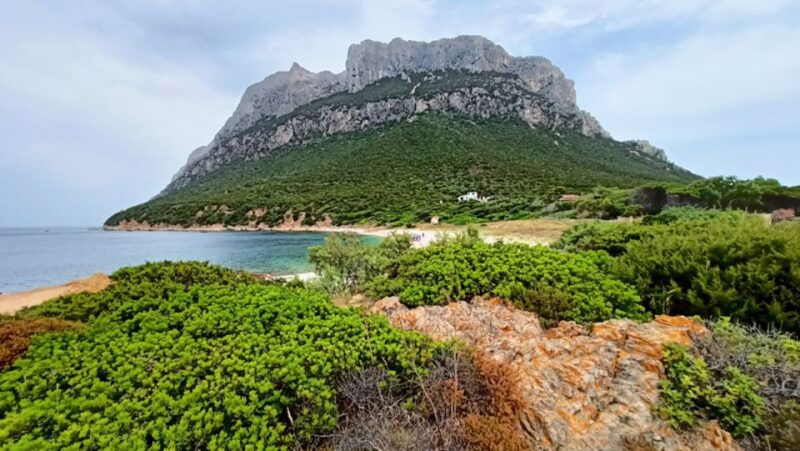 from-san-teodoro-tavolara-archipelago-mini-tour