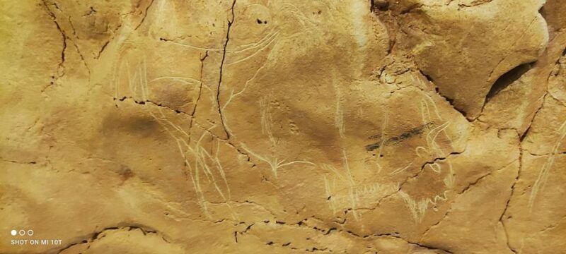 from-santander-santillana-del-mar-altamira-museum-tour