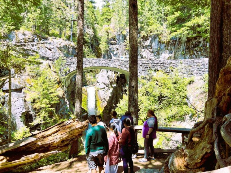 from-seattle-customized-mount-rainier-tour