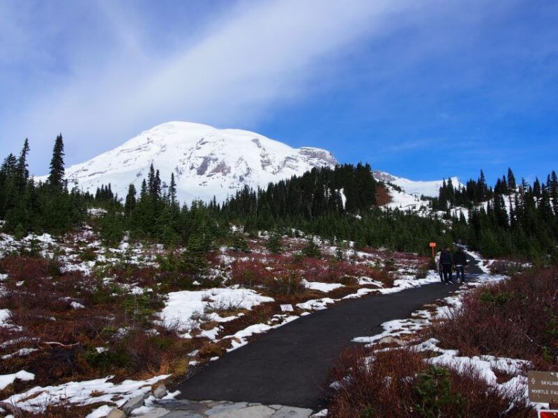 from-seattle-mount-rainier-national-park-guided-tour
