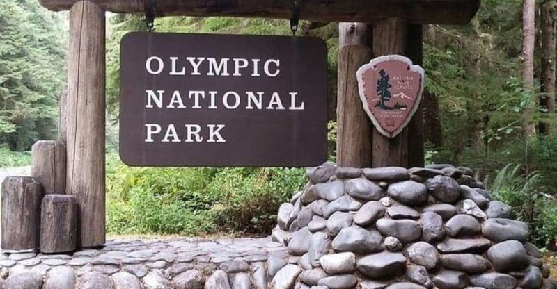 from-seattle-olympic-national-park-full-day-tour