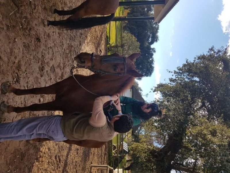 from-seville-horseback-riding-experience-in-aljarafe