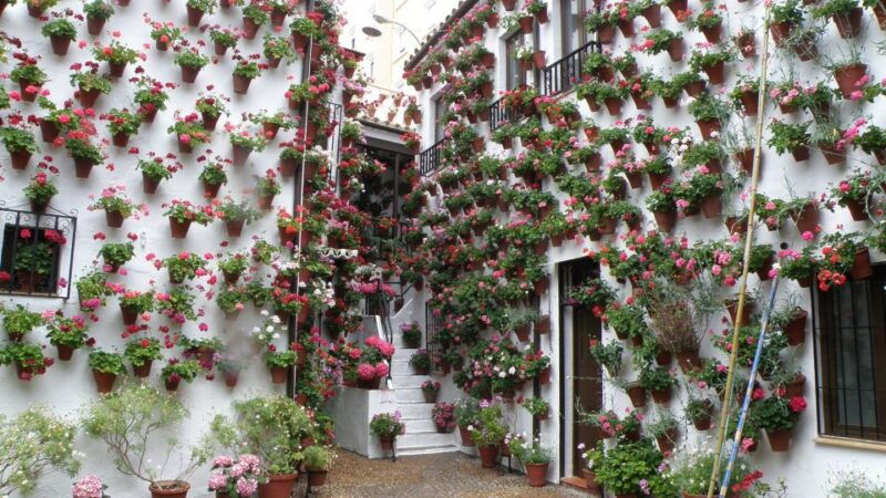 from-seville-private-or-group-full-day-cordoba-tour