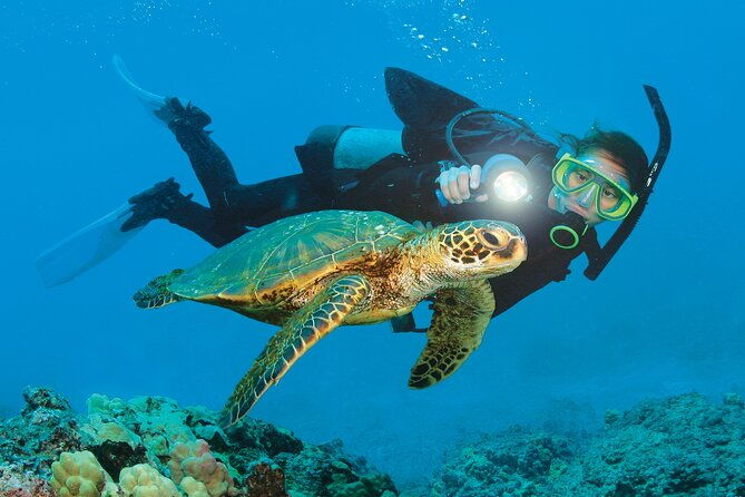 from-side-alanya-scuba-diving-with-2-time-dive-lunch