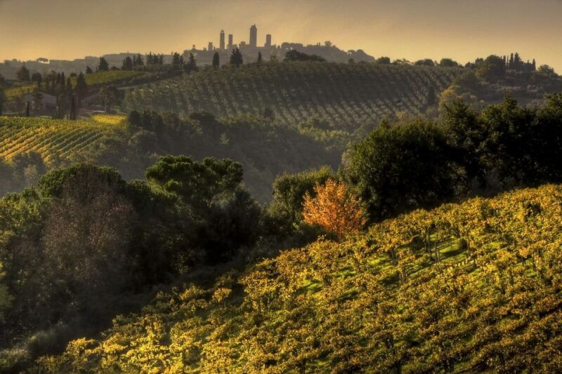 from-siena-chianti-and-san-gimignano-sunset-tour