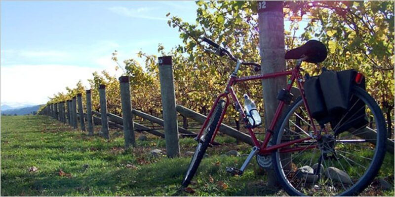 from-siena-chianti-countryside-e-bike-tour-w-lunch-wine