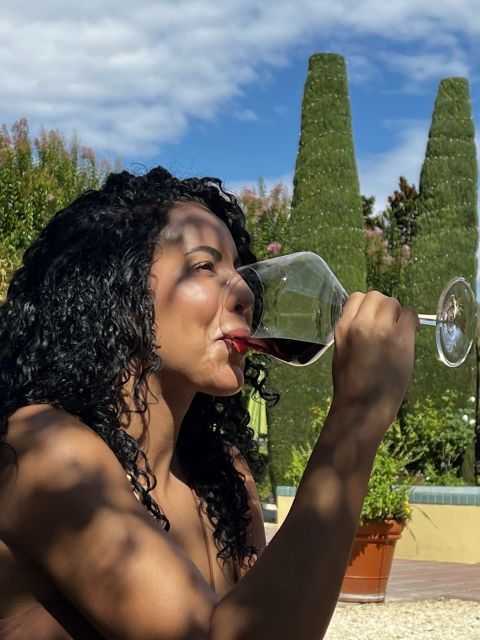 from-sonoma-napa-valley-classic-sidecar-tour-to-3-wineries