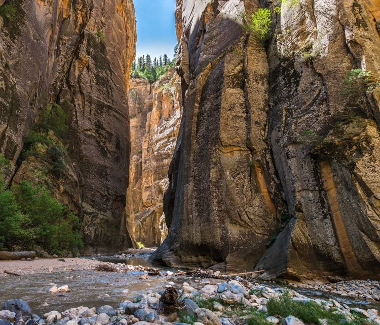 from-springdale-the-zion-narrows-hike-with-lunch