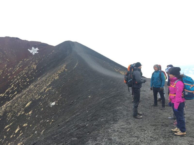 from-syracuse-etna-tour-with-light-lunch-and-wine-tasting