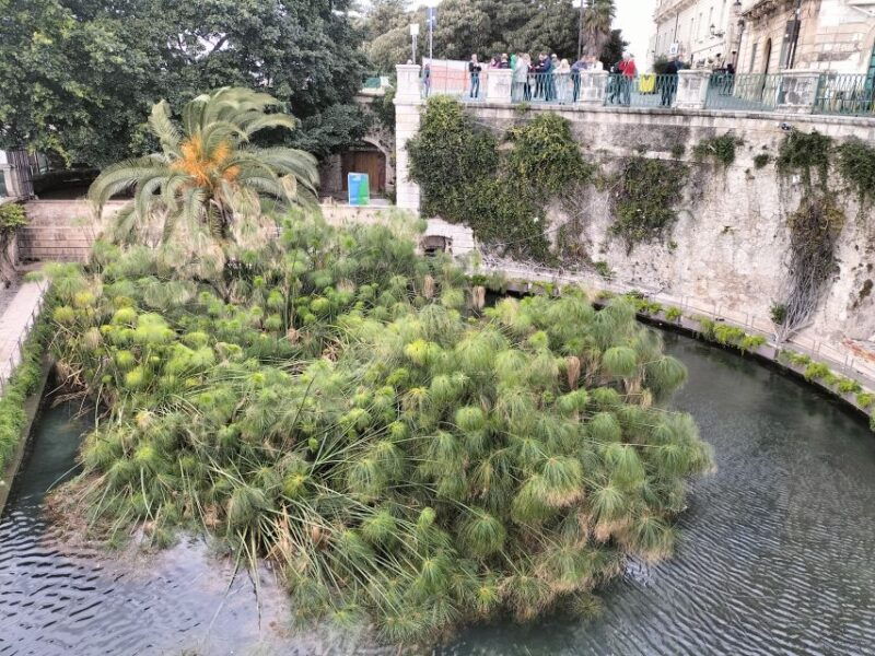 from-taormina-siracusa-noto-small-group-tour
