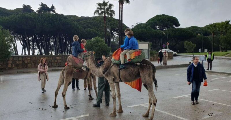 from-tarifa-tangier-day-tour-with-bazaar-shopping-and-lunch
