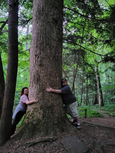 from-townsend-great-smoky-mountains-national-park-hiking