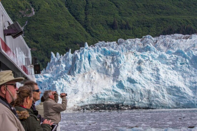 from-valdez-7-5-hour-meares-glacier-wildlife-cruise