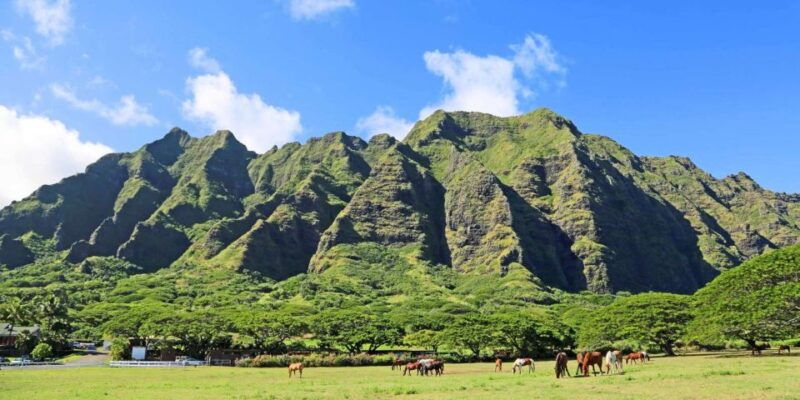 from-waikiki-circle-island-tour