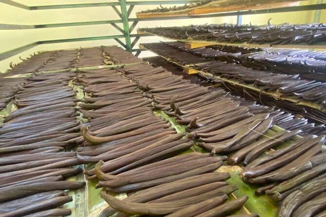 full-day-at-hacienda-cacaoymango-and-vanilla-greenhouse