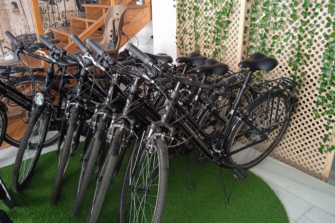 full-day-bike-rental-in-seville