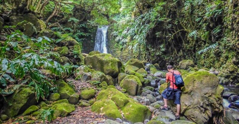 full-day-faial-da-terra-nordeste-from-ponta-delgada