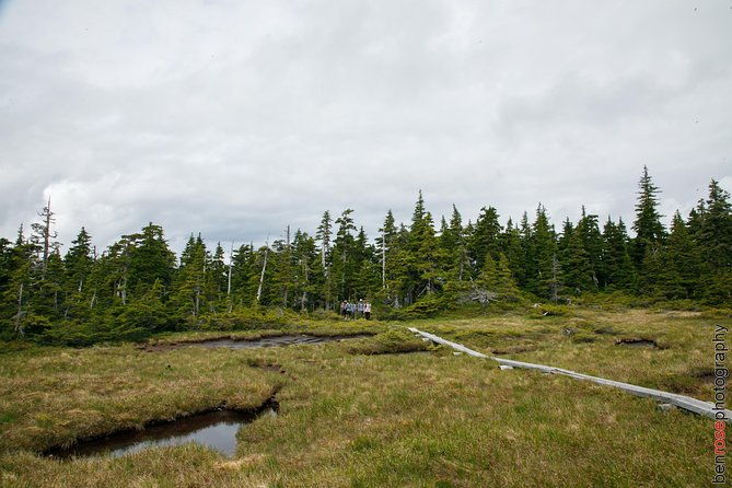 full-day-mount-riley-hike-from-haines