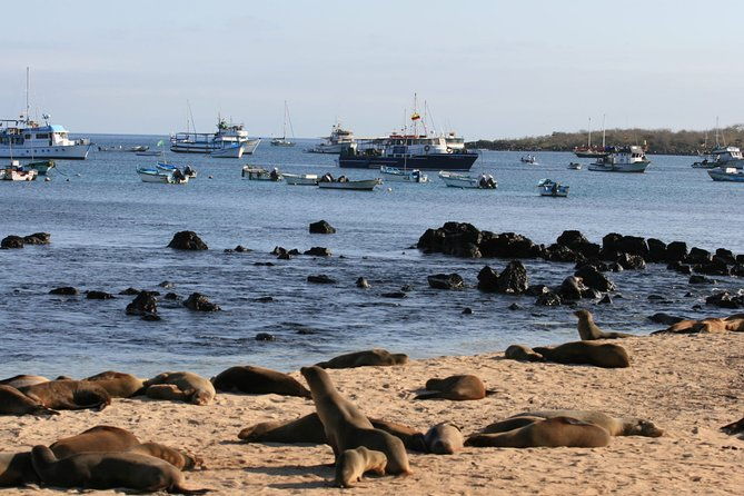full-day-pinzon-island-snorkeling-and-fishing