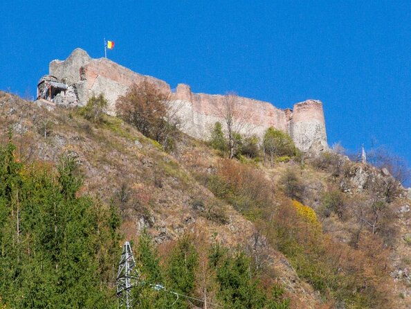 full-day-private-carpatian-garden-with-draculas-fortress-wild-brown-bears