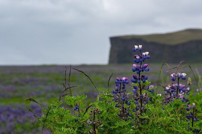 full-day-private-tour-to-explore-south-coast-of-iceland