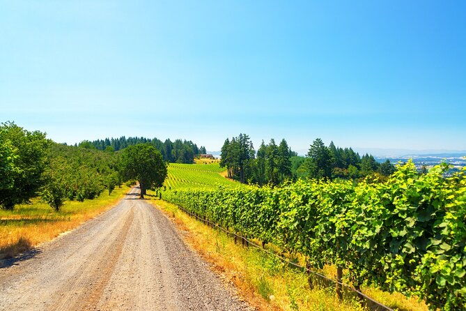 full-day-private-willamette-valley-wine-tour-from-portland