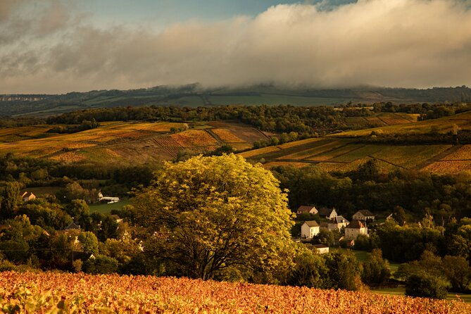 full-day-private-wine-tour-in-cote-de-beaune