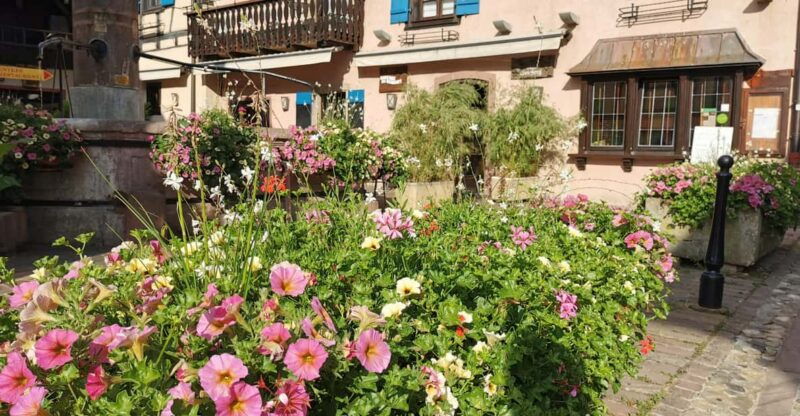 full-day-safari-tour-villages-vineyards-wine-tasting