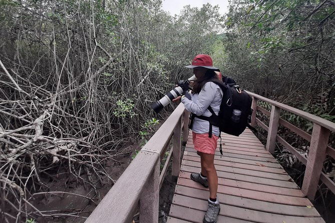 full-day-to-ecological-reserve-churute-mangrove-and-cacao-farm-visit