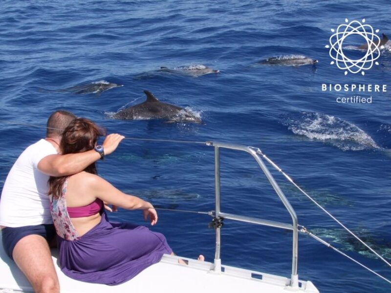 funchal-cabo-girao-wines-tasting-and-dolphins-watching