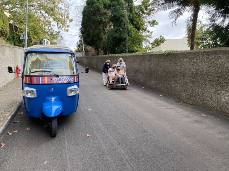 funchal-monte-tropical-garden-toboggan-ride-by-tuk-tuk