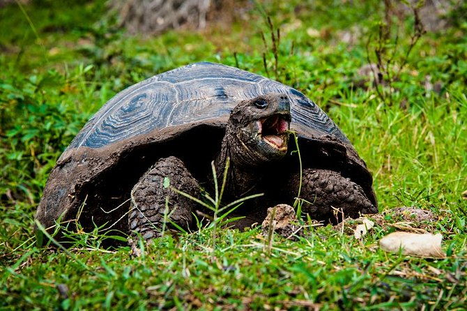 galapagos-by-land-and-sea-4d-3n