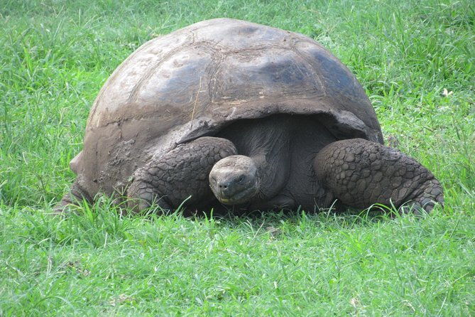 galapagos-ideal-3days
