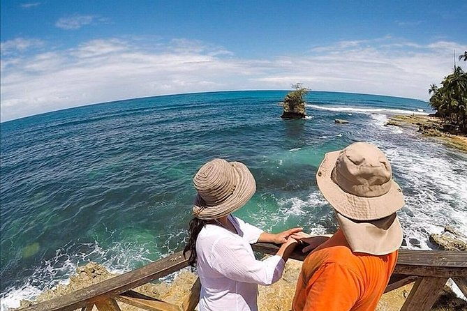 gandoca-manzanillo-trail-great-green-macaw-tour