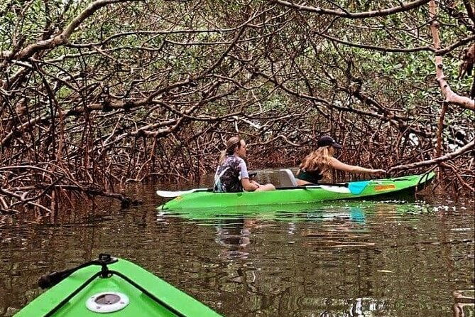 glass-bottom-kayak-mangrove-tunnel-sandbar-adventure-sarasota
