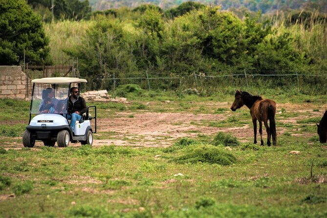 golf-car-hire-in-porto-conte-natural-park