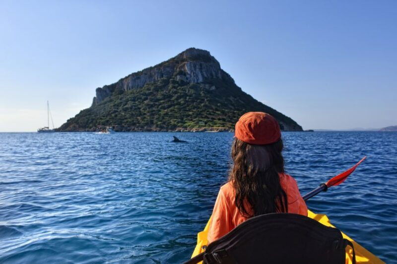 golfo-aranci-kayak-tour-with-dolphins-and-aperitif