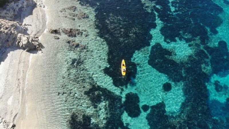 golfo-aranci-small-group-kayak-tour-with-aperitif-dolphins