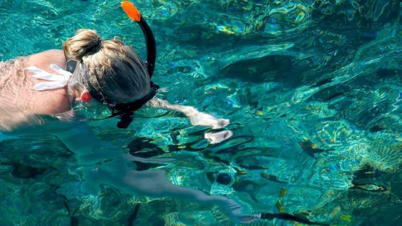 golfo-aranci-snorkelling-in-cala-moresca