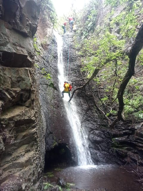 gran-canaria-canyoning-adventure-in-the-green-heart-jungle